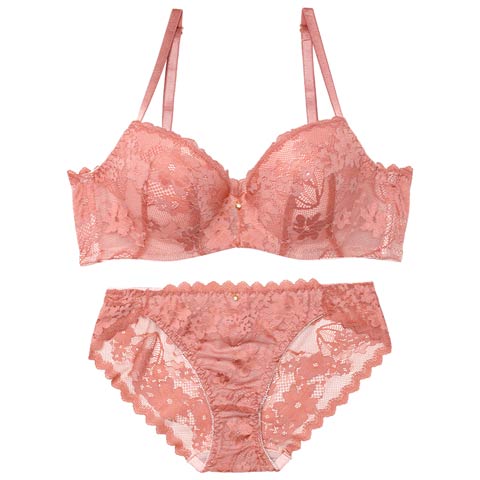 4/15新作!【GHIサイズ】ニュアンスフラワーレース育乳脇高ブラジャー&バック透けフルバックショーツ［大人気］(テラコッタ-G65/ショーツM)