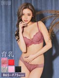 【Gi la see】ガーリーフラワーケミカルレース育乳脇高ブラジャー&フルバック