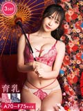 12/27新作!【かとゆり着用】【3点セット】ブリリアントブルームクロス育乳脇高ブラジャー&フルバック&Tバックショーツ