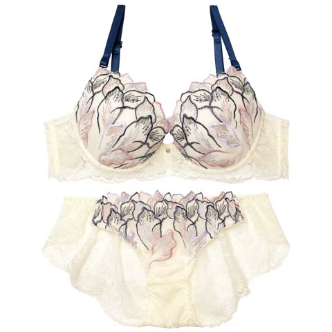 【EFサイズ】フローラルシックエンブロイダリーブラジャー&バック透けフルバックショーツ［大人気］(オフホワイト-E70/ショーツM)