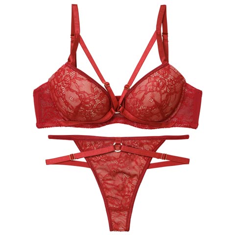 3/13新作!ドラマティックコードレースブラジャー&バック透けTバックショーツ［激売れ］(レッド-B65/ショーツM)