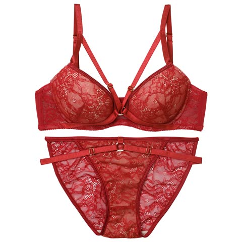 3/13新作!【EFサイズ】ドラマティックコードレースブラジャー&バック透けフルバックショーツ［大人気］(レッド-E70/ショーツM)