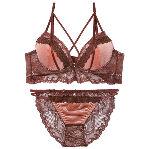 11/12新作!【EFサイズ】ノーブルベロアコードブラジャー&バック透けフルバックショーツ［大人気］(ピンク-E70/ショーツM)