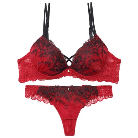 1/23新作!ディープクロスエンブロイダリーブラジャー&バック透けTバックショーツ［激売れ］(レッド-B65/ショーツM)