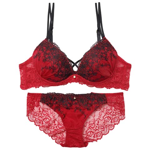 10/22新作!【EFサイズ】ディープクロスエンブロイダリーブラジャー&バック透けフルバックショーツ［大人気］(レッド-E70/ショーツM)