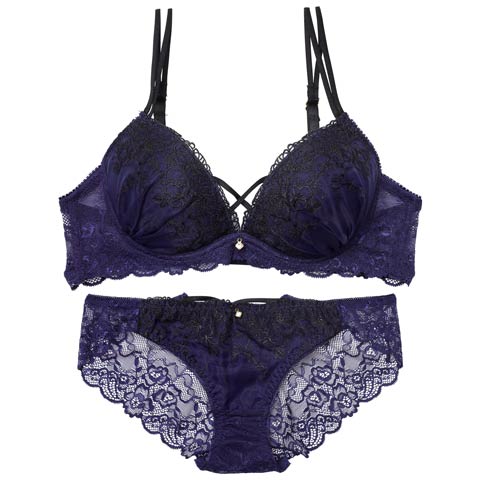 10/22新作!【EFサイズ】ディープクロスエンブロイダリーブラジャー&バック透けフルバックショーツ［大人気］(ネイビー-E70/ショーツM)