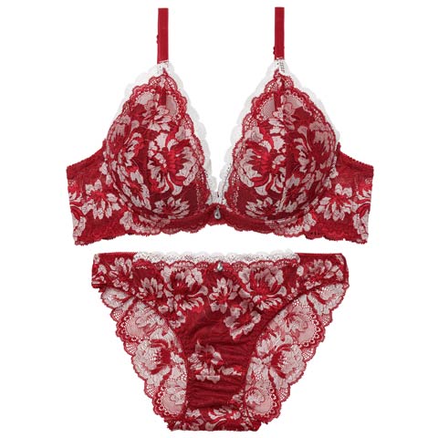 3/27新作!グラマラスフラワーレース育乳脇高ブラジャー&バック透けフルバックショーツ　［激売れ］(レッド-B65/ショーツM)