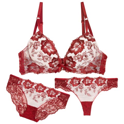11/5新作!【3点セット】ベルフルールエンブロイダリーブラジャー&バック透けフルバック&Tバックショーツ［大人気］(ワインレッド-B65/ショーツM)