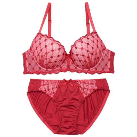 1/16新作!【EFサイズ】スウィートハートチャーミーブラジャー＆フルバックショーツ［大人気］(ワインレッド-E65/ショーツM)