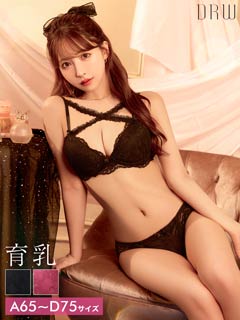 【三上悠亜着用】ロマンティックレーシィクロス育乳脇高ブラジャー&バック透けフルバックショーツ［激売れ］［週替］[スーパーセール]