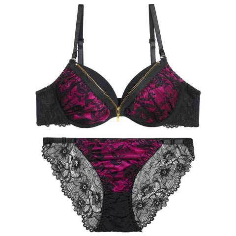 12/19新作!【EFサイズ】ロージーレースファスナーブラジャー＆バック透けフルバックショーツ［大人気］(ピンク-E65/ショーツM)
