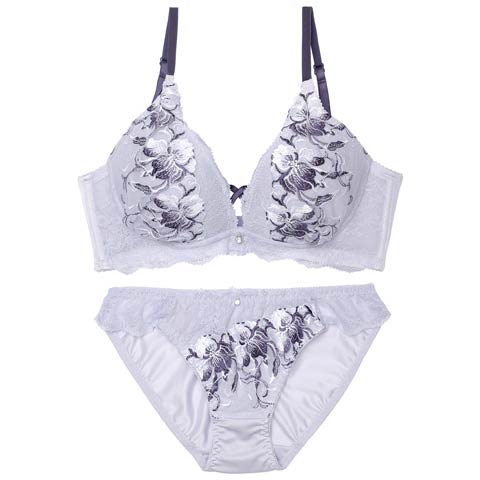 2/2新作!【EFサイズ】グレースクロスフラワー育乳脇高ブラジャー&フルバックショーツ［大人気］(ライトグレー-E70/ショーツM)