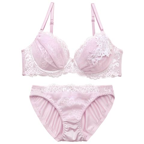4/29新作!エレガンスチュールブーケブラジャー&フルバックショーツ［激売れ］(ダスティピンク-A70/ショーツM)