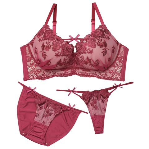 12/24新作!【3点セット】【EFサイズ】ディープローズリボンコード育乳脇高ブラジャー&フルバック&Tバックショーツ［大人気］(ローズ-E65/ショーツM)