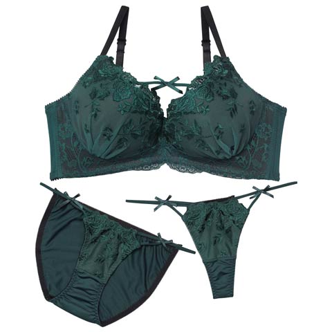 12/24新作!【3点セット】【EFサイズ】ディープローズリボンコード育乳脇高ブラジャー&フルバック&Tバックショーツ［大人気］(グリーン-E65/ショーツM)