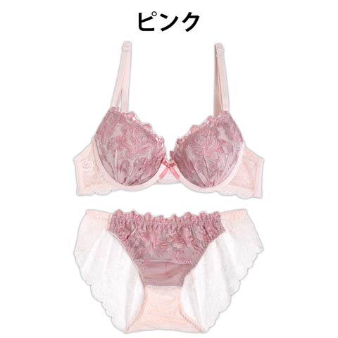【EFサイズ】スモーキーフラワー刺繍ブラジャー&バック透けフルバックショーツ(ピンク-E65/ショーツM)