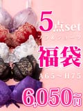 【福袋★ブラセット5点入】ブラジャー＆ショーツ5点組入り福袋