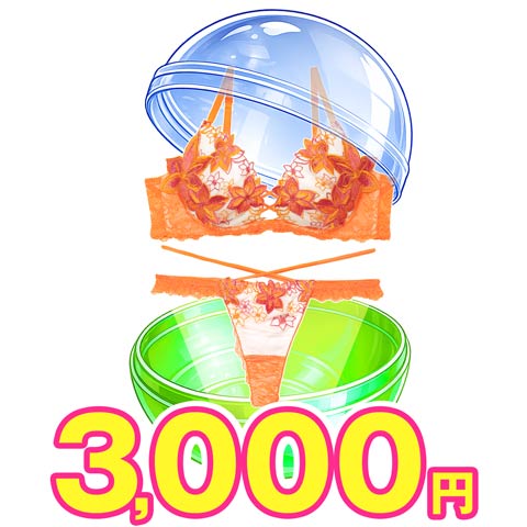 【3月27日～29日までの3日限定販売】1日100セット限定(C-A65)