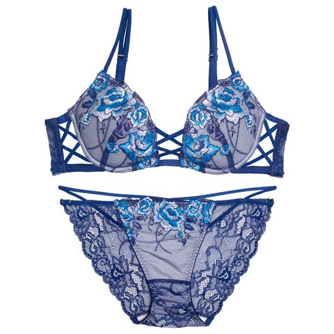 11/3新作!【Reinest】リュクスピオニークロスブラジャー&バック透けフルバックショーツ［大人気］(ネイビー-A65/ショーツM)