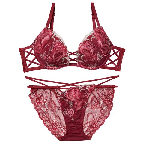 12/12新作!【Reinest】バタフリークロスアップブラジャー＆バック透けフルバックショーツ［大人気］(ボルドー-A65/ショーツM)