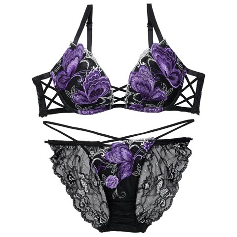 12/12新作!【Reinest】バタフリークロスアップブラジャー＆バック透けフルバックショーツ［大人気］(ブラック-A65/ショーツM)