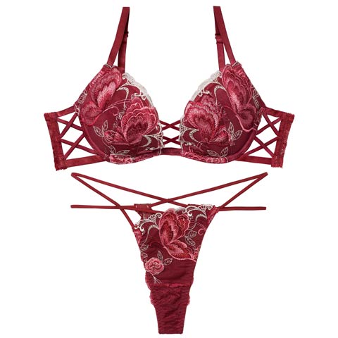 12/12新作!【Reinest】バタフリークロスアップブラジャー＆バック透けTバックショーツ［大人気］(ボルドー-A65/ショーツM)