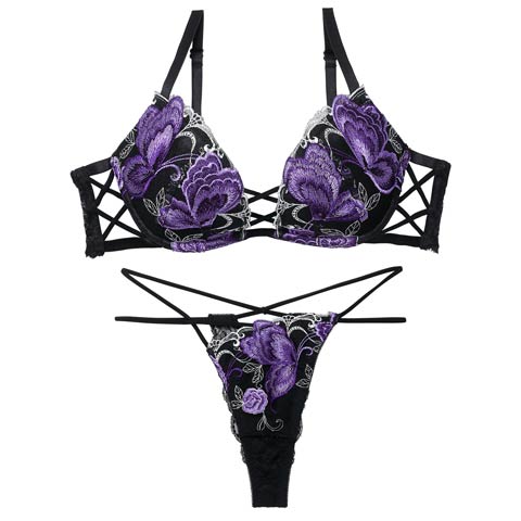 12/12新作!【Reinest】バタフリークロスアップブラジャー＆バック透けTバックショーツ［大人気］(ブラック-A65/ショーツM)