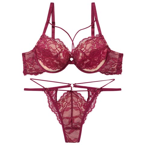 【予約:2/17頃より順次発送】2/13新作!【Reinest】アグレアーブルレースコードブラジャー&バック透けTバックショーツ［大人気］(ワイン-A65/ショーツM)