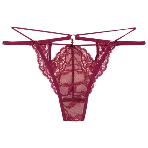 【予約:2/17頃より順次発送】2/13新作!【Reinest】アグレアーブルレースコードバック透け選べるショーツ[おそろいショーツ](ワイン/Tバック-M)