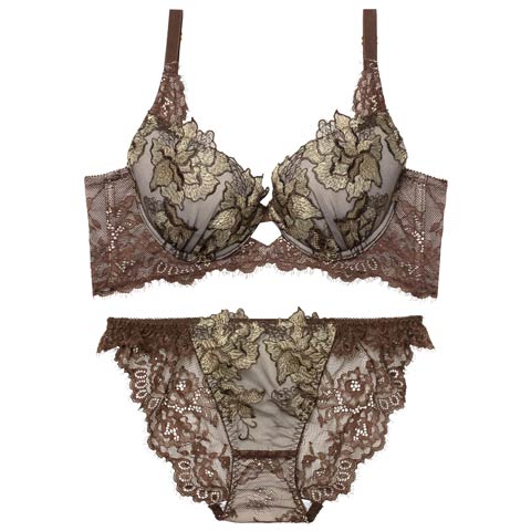 12/19新作!【Reinest】シャルムローズレース育乳脇高★魔法のブラジャー&バック透けフルバックショーツ［大人気］(ブラウン-A65/ショーツM)