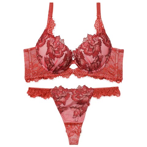 12/19新作!【Reinest】シャルムローズレース育乳脇高★魔法のブラジャー&バック透けTバックショーツ［大人気］(レッド-A65/ショーツM)