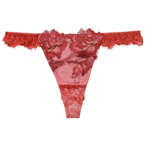 12/19新作!【Reinest】シャルムローズレースバック透け選べるショーツ[おそろいショーツ](レッド/Tバック-M)