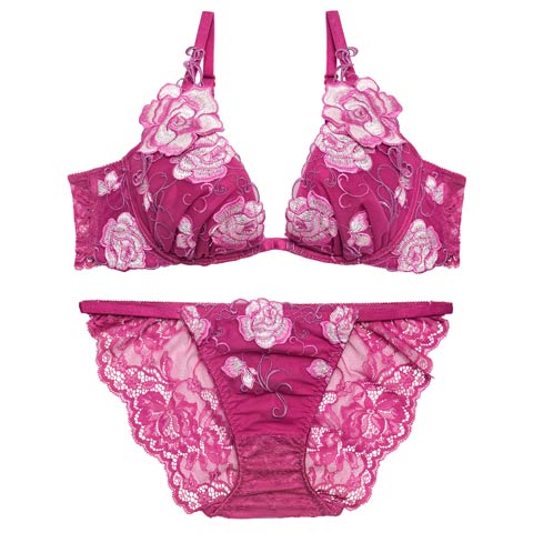 4/17新作!【Reinest】リュクスローズエンブロイダリーブラジャー&バック透けフルバックショーツ［大人気］(ピンク-A65/ショーツM)