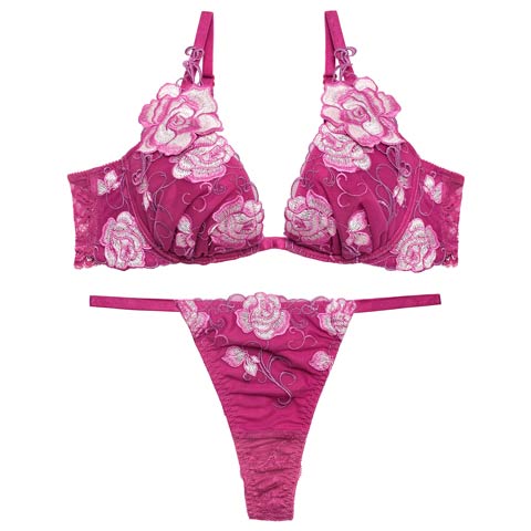 4/17新作!【Reinest】リュクスローズエンブロイダリーブラジャー&バック透けTバックショーツ［大人気］(ピンク-A65/ショーツM)
