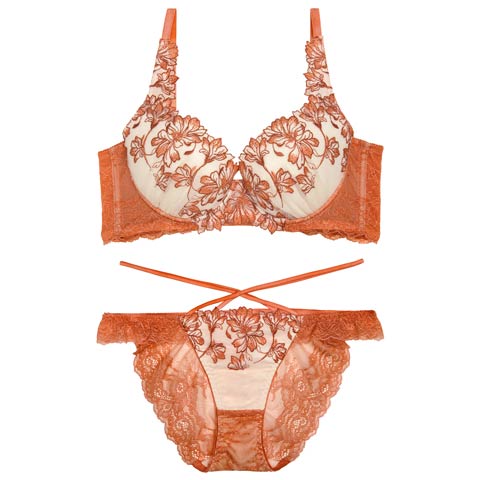 10/27新作!【永尾まりや着用】【Reinest】ビューティフォールフラワーブラジャー&バック透けフルバックショーツ［大人気］(オレンジ-A65/ショーツM)