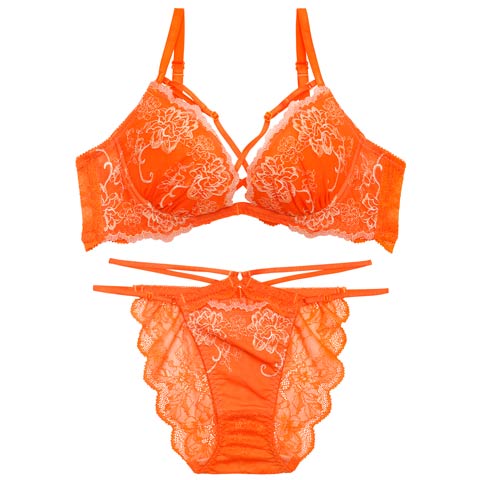 4/27新作!【Reinest】グラマラスフルールコードブラジャー&バック透けフルバックショーツ［大人気］(オレンジ-A65/ショーツM)