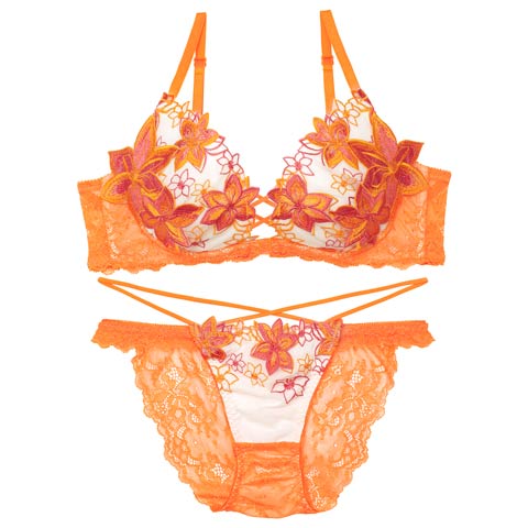 【12月頃再入荷決定★只今リクエスト募集中】【永尾まりや着用】【Reinest】ラグジュアリー クレマチスブラジャー&バック透けフルバックショーツ［大人気］(オレンジ-A65/ショーツM)