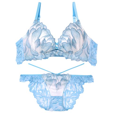 11/15再販!【Reinest】ルミエールペタルレーシーブラジャー&バック透けフルバックショーツ［大人気］(サックス-A65/ショーツM)