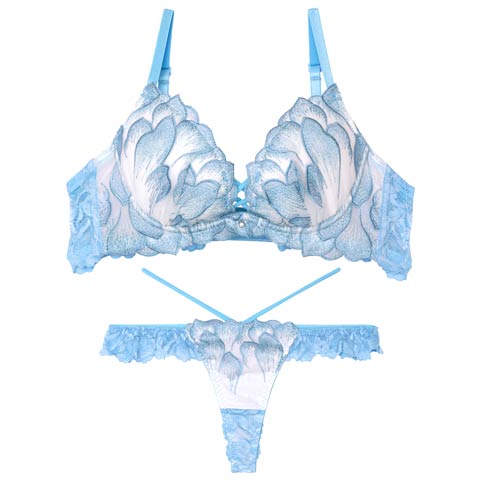 11/15再販!【Reinest】ルミエールペタルレーシーブラジャー&バック透けTバックショーツ［大人気］(サックス-A65/ショーツM)