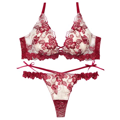 2/18新作!【永尾まりや着用】【Reinest】ラディアントブロッサムブラジャー&バック透けTバックショーツ(ボルドー-A65/ショーツM)