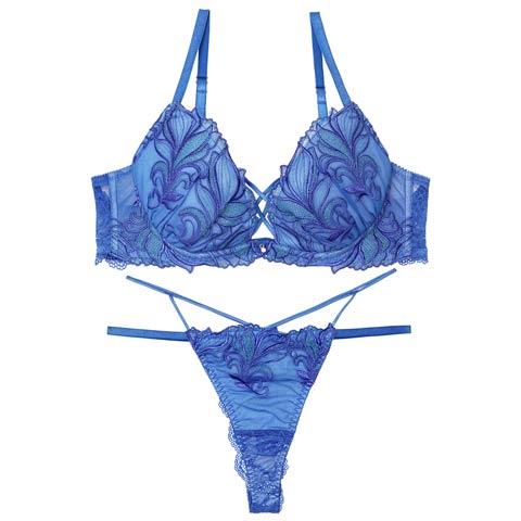 【永尾まりや着用】【Reinest】シャイニーフェザーリーフブラジャー&バック透けTバックショーツ［大人気］(ブルー-A65/ショーツM)