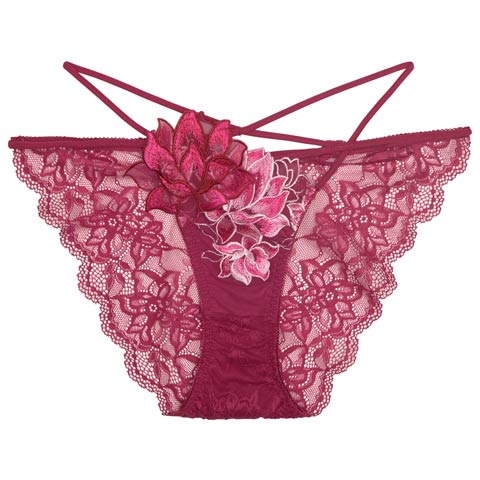 【12月頃再入荷決定★只今リクエスト募集中】【Reinest】グラマラスピオニーコードバック透け選べるショーツ[おそろいショーツ](ピンク/フルバック-M)