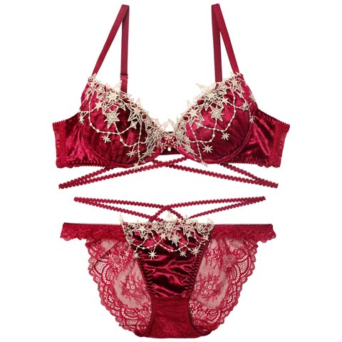 12/5再販!【永尾まりや着用】【Reinest】ノエルエトワールコードブラジャー&バック透けフルバックショーツ［大人気］(レッド-A65/ショーツM)