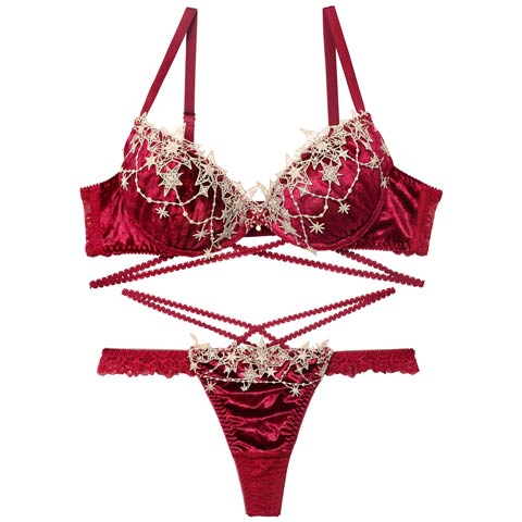 12/5再販!【永尾まりや着用】【Reinest】ノエルエトワールコードブラジャー&バック透けTバックショーツ［大人気］(レッド-A65/ショーツM)