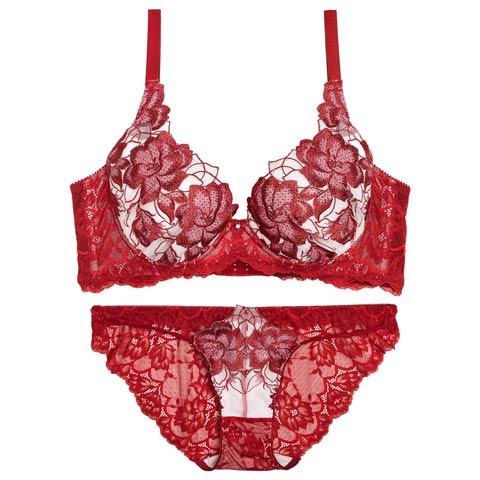 11/21新作!【Reinest】グラマラスピオニーカットストリング育乳脇高★魔法のブラジャー&バック透けフルバックショーツ［大人気］(レッド-A65/ショーツM)
