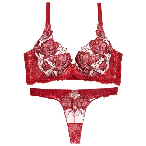 11/21新作!【Reinest】グラマラスピオニーカットストリング育乳脇高★魔法のブラジャー&バック透けTバックショーツ［大人気］(レッド-A65/ショーツM)