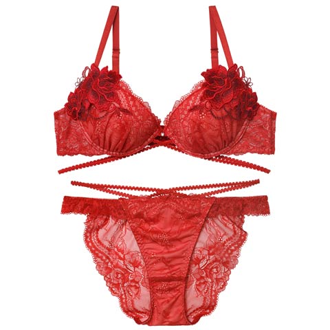 12/10新作!【永尾まりや着用】【Reinest】マジェスティックコードレースブラジャー&バック透けフルバックショーツ［大人気］(レッド-A65/ショーツM)