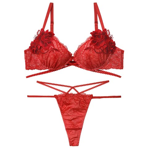 12/10新作!【永尾まりや着用】【Reinest】マジェスティックコードレースブラジャー&バック透けTバックショーツ［大人気］(レッド-A65/ショーツM)