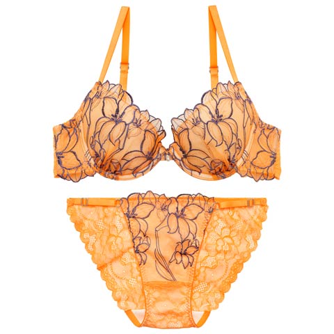 4/1新作!【永尾まりや着用】【Reinest】グラマラスビビッドブロッサムブラジャー&バック透けフルバックショーツ［大人気］(オレンジ-A65/ショーツM)