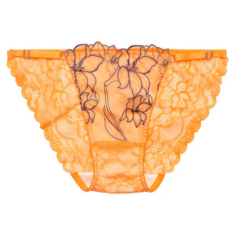 4/1新作!【永尾まりや着用】【Reinest】グラマラスビビッドブロッサムバック透け選べるショーツ[おそろいショーツ](オレンジ/フルバック-M)